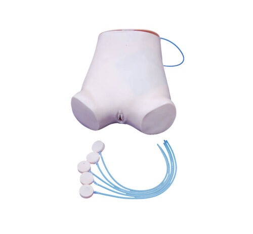 Abdominal-Puncture-Model-3 Abdominal Puncture Model - Image 1