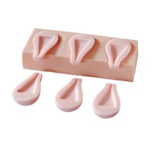 Advanced Artificial Abortion Simulated Uterus