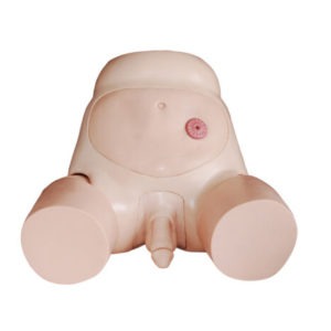 Advanced Male Urethral Catheterization Simulator
