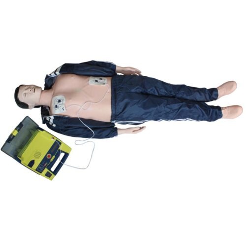 Basic-Life-Support-BLS-Manikin-CPR-AED-Simulator-2 Basic Life Support, BLS Manikin (CPR & AED Simulator) - Image 1