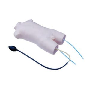 Child Femoral Vein and Femoral Artery Puncture Training Model