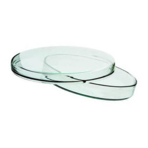 Glass Petri Dish 120 mm for Lab Use Germany