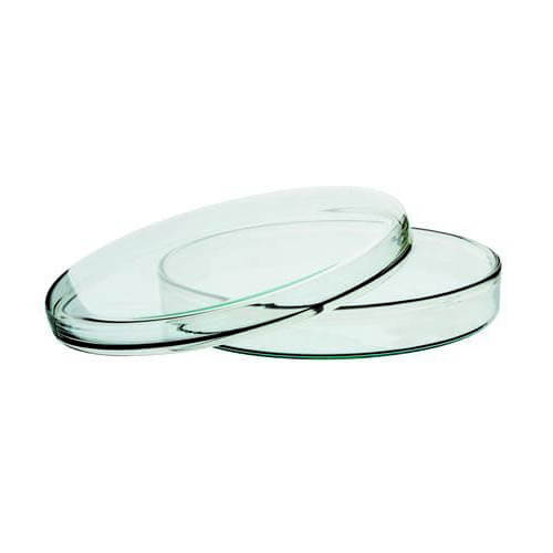 Glass-Petri-Dishes-90-mm-for-Biology-Lab-4 Glass Petri Dishes 90 mm for Germany - Image 1