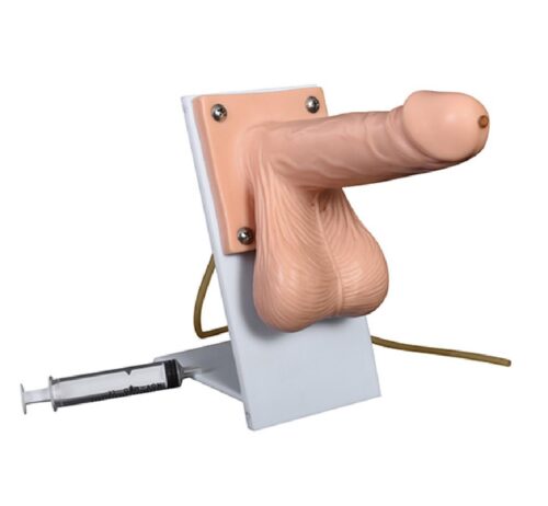 Male-Condom-Simulator-1 Male Condom Simulator - Image 1