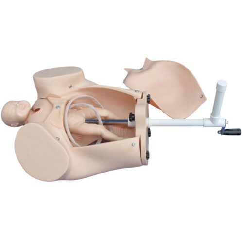 Model-of-Course-of-Delivery-2-e1614229886871-1 Model of Course of Delivery - Image 1