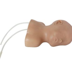 Neonate Scalp Venipuncture Model