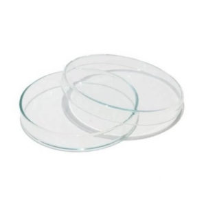 Plastic Petri Dishes 90 mm for Biology Lab