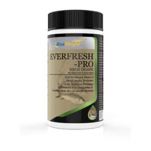 Probiotics Everfresh Pro 500 GM, Multi Strain Probiotic 15b CFU/gm