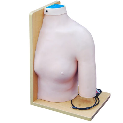 Shoulder-Joint-Intracavitary-Injection-Model-2 Shoulder Joint Intracavitary Injection Model - Image 1