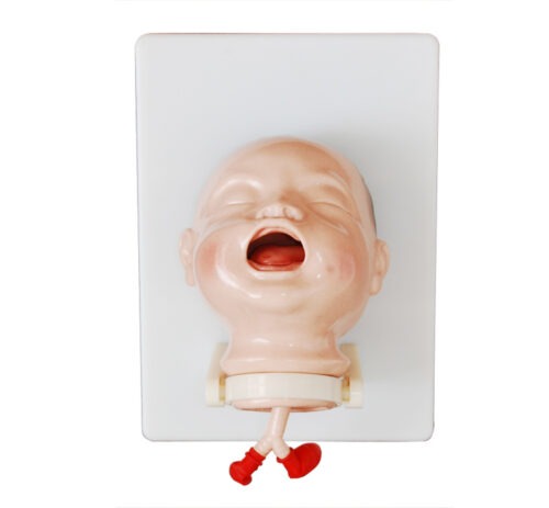The-Model-of-Newborn-Intubation-1 The Model of Newborn Intubation - Image 1