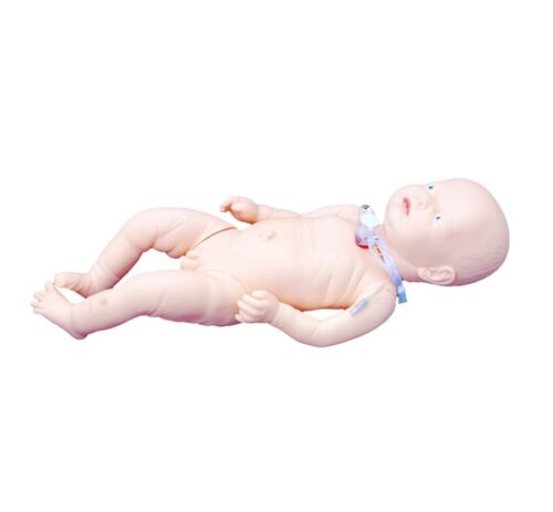 Tracheostomy-Care-Infant-Model-1 Tracheostomy Care Infant Model - Image 1