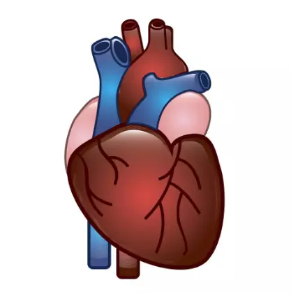 lab-asia.5-5 Myocardium Zymogram Items - Image 1
